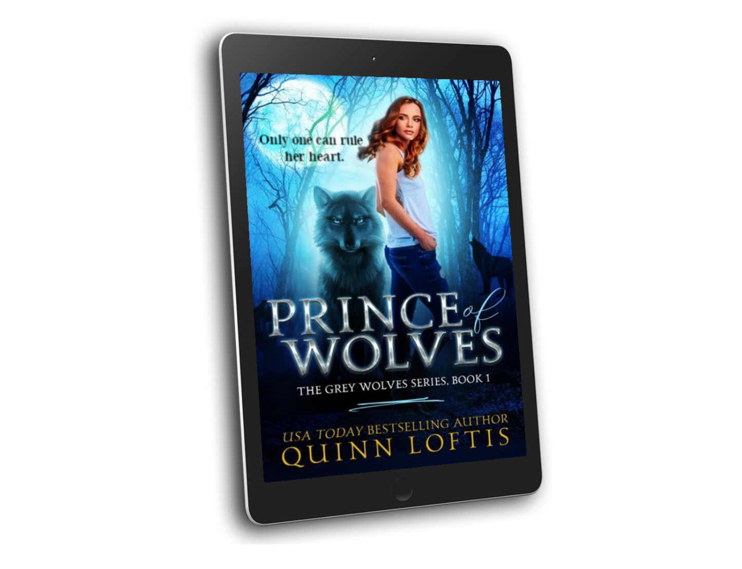 The Grey Wolves Series Book 1-10 e-book Bundle