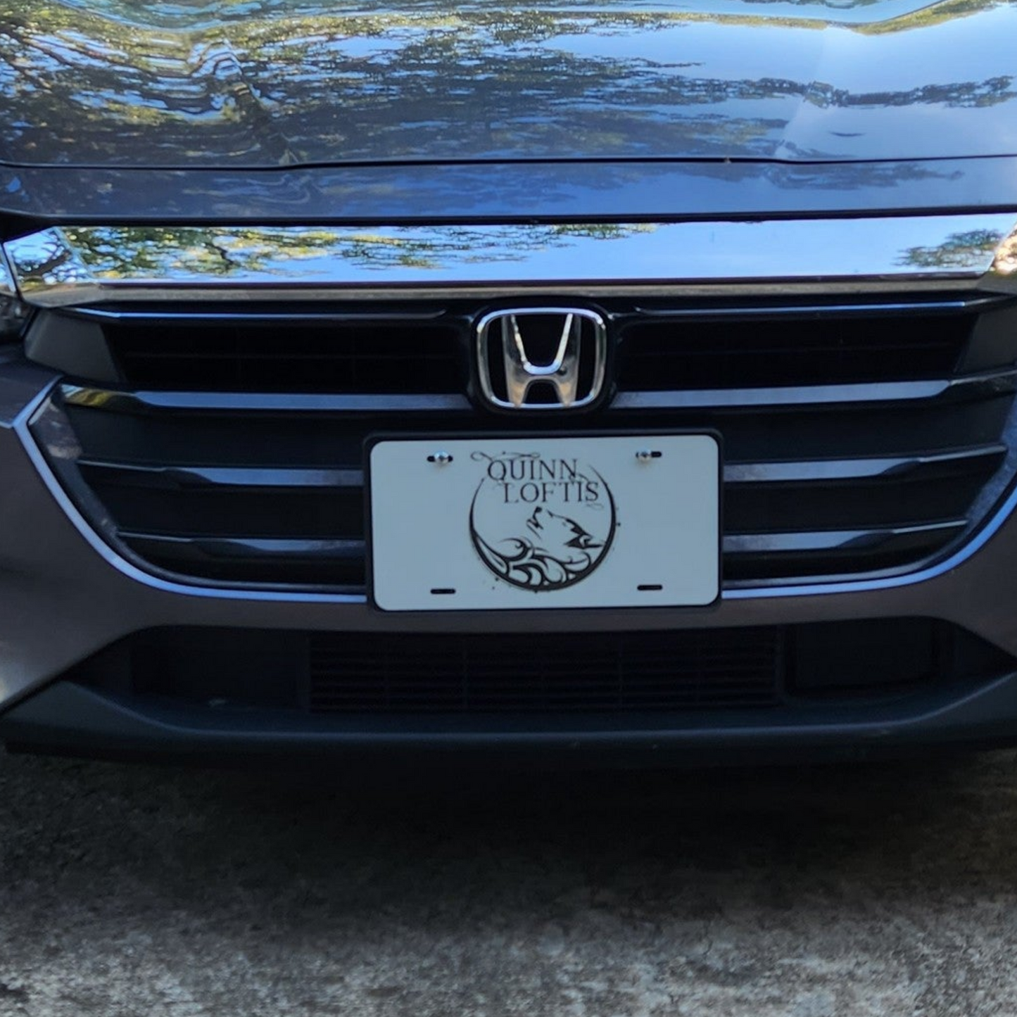 Quinn Loftis Books License Plate