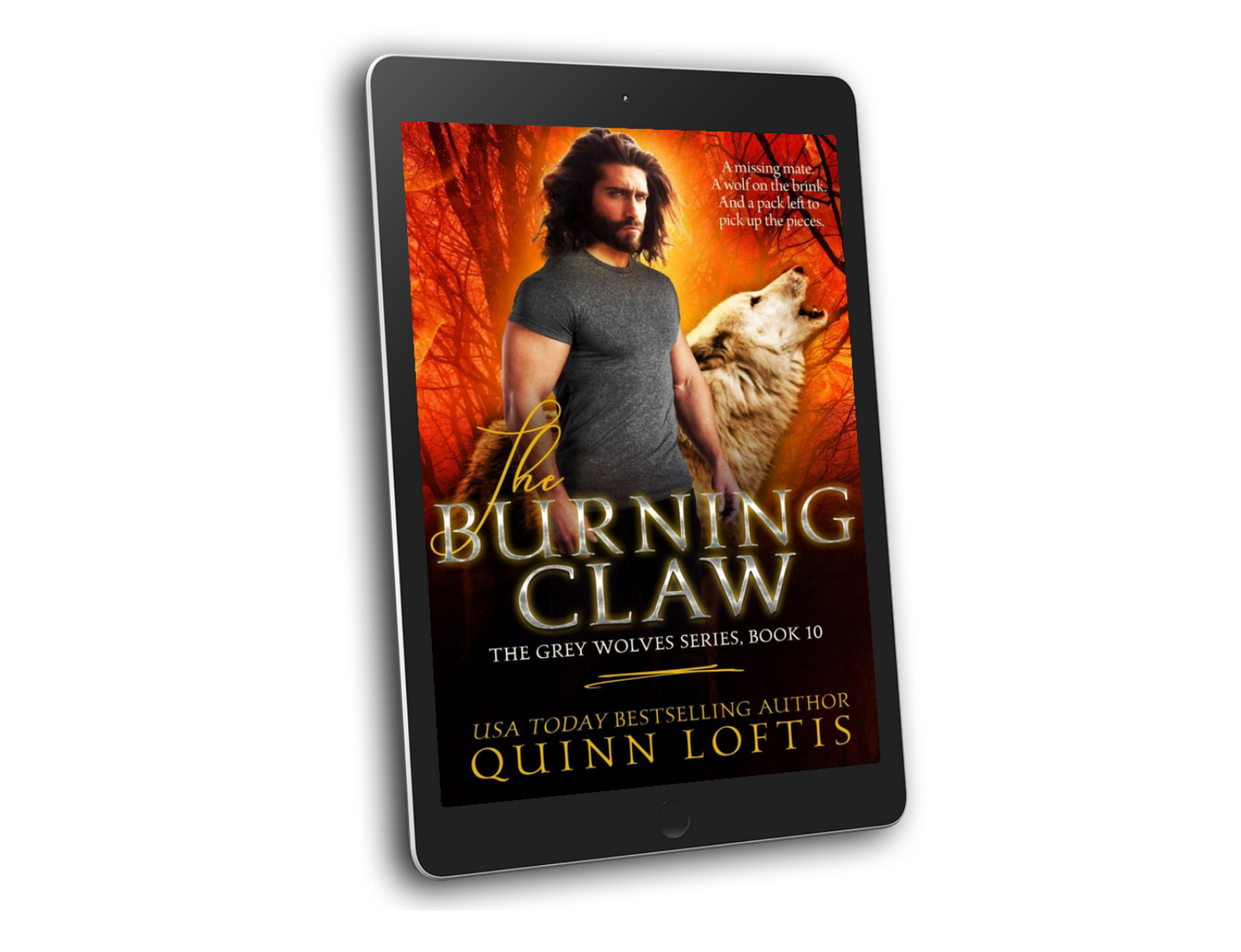 The Grey Wolves Series Book 1-10 e-book Bundle