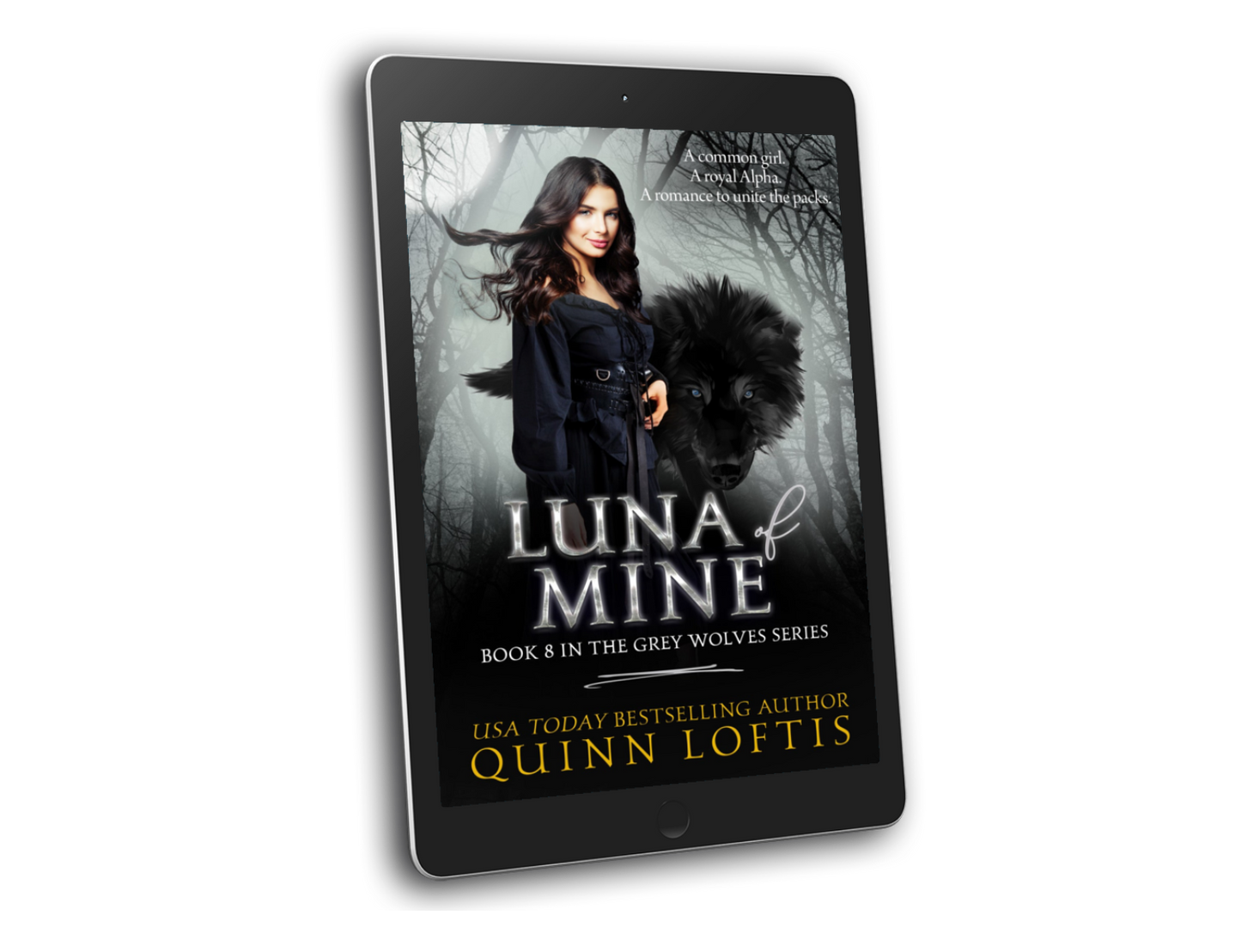 The Grey Wolves Series Book 1-10 e-book Bundle