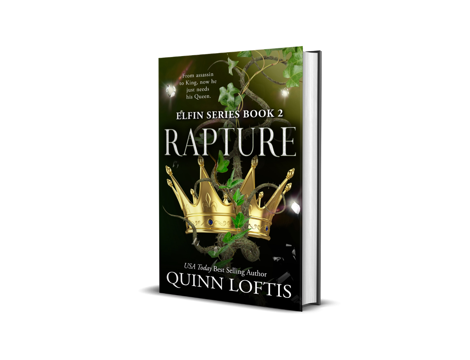 Rapture, Book 2 of the Elfin Series – Quinn Loftis Books