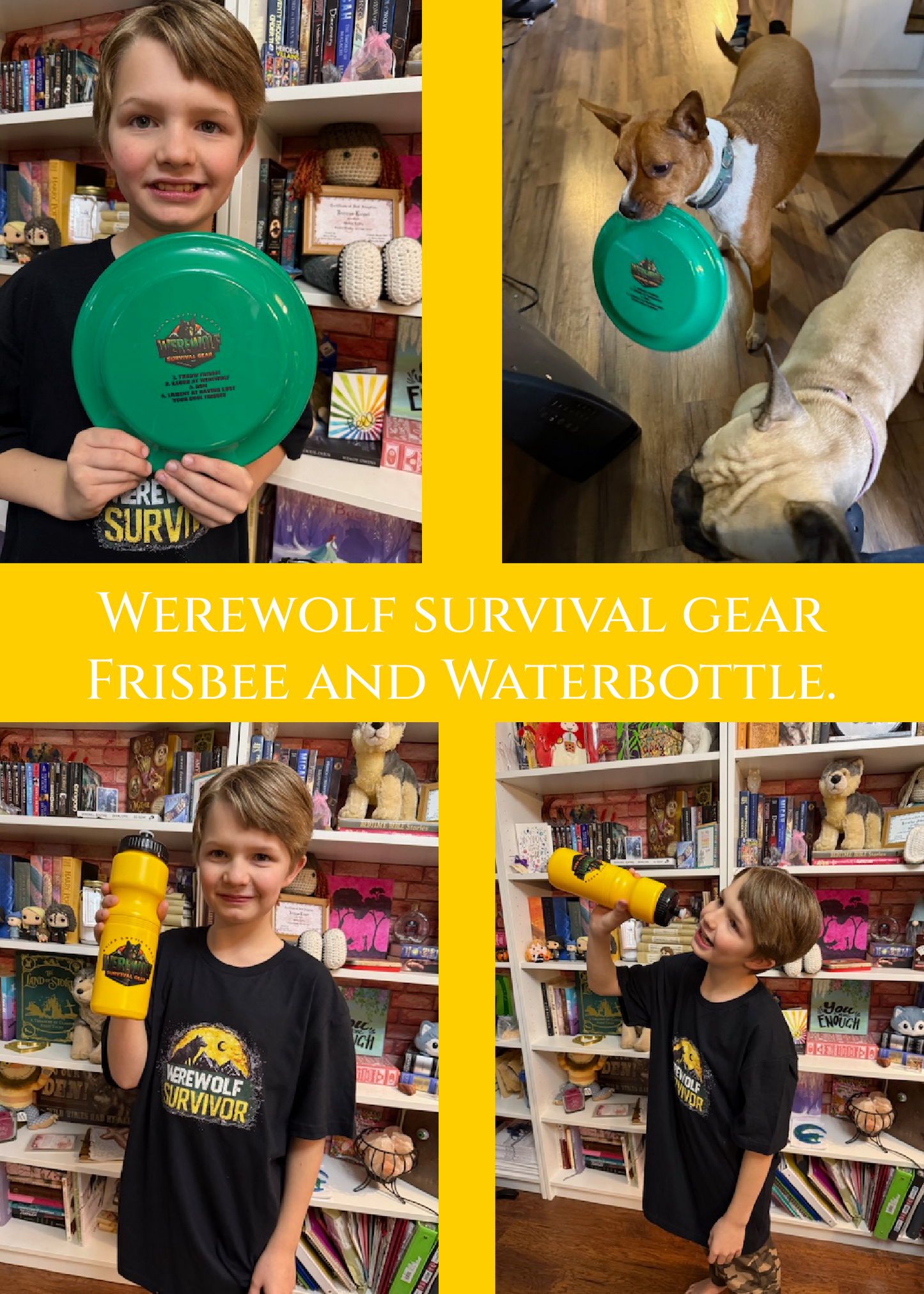 Quinn-Verse Box # 3 Werewolf Survival Gear