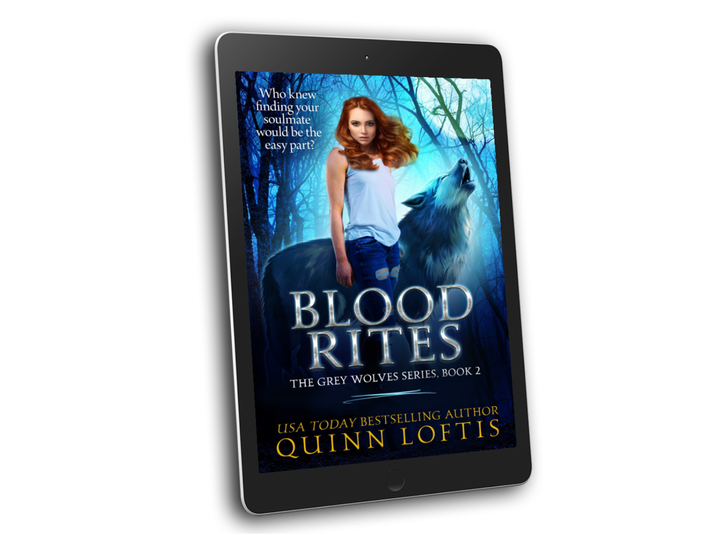 The Grey Wolves Series – Quinn Loftis Books